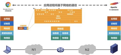 計算機網(wǎng)絡(luò)概述與信息管理與服務(wù)